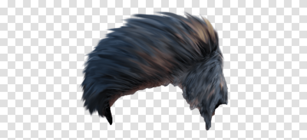 Hairstyles For Picsart Editing, Bird, Animal, Nature, Wolf Transparent Png