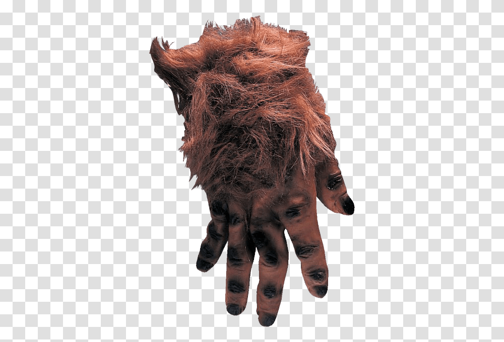 Hairy Brown Monster Hands Imagenes De La Mano Pachona, Tattoo, Person, Skin, Human Transparent Png
