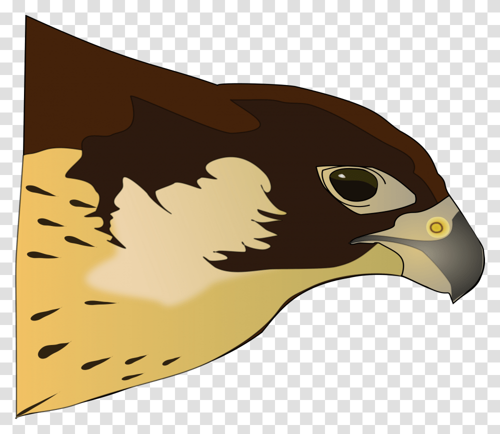 Halcn Hawk Clip Arts Clipart Hawk, Vulture, Bird, Animal, Beak Transparent Png