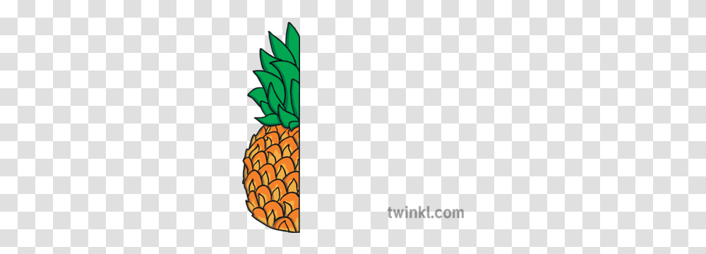 Half A Pineapple Illustration Twinkl Little Red Hen Duck, Plant, Fruit, Food Transparent Png