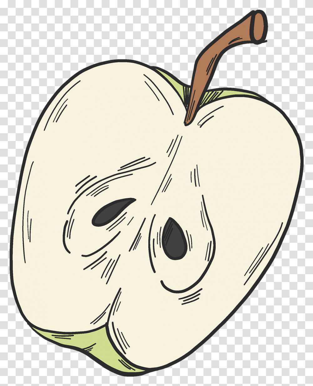 Half Apple Clipart Free Download Creazilla Illustration, Plant, Fruit, Food Transparent Png