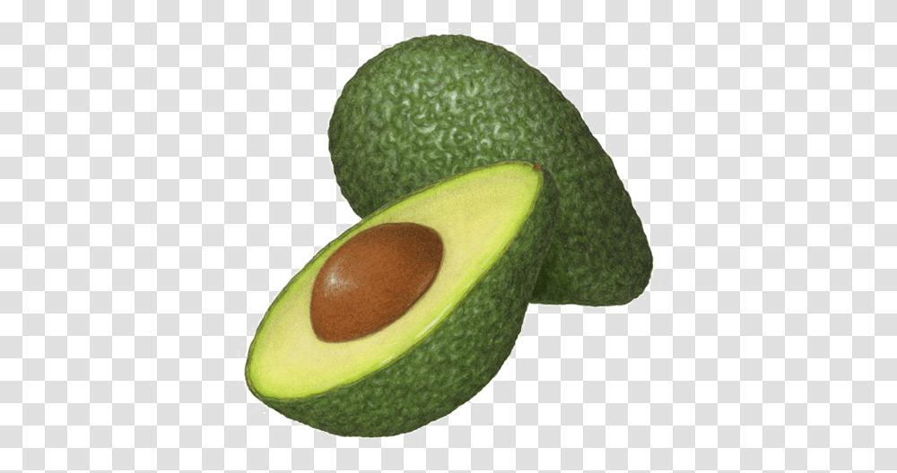 Half Avocado Clipart, Plant, Fruit, Food, Tennis Ball Transparent Png