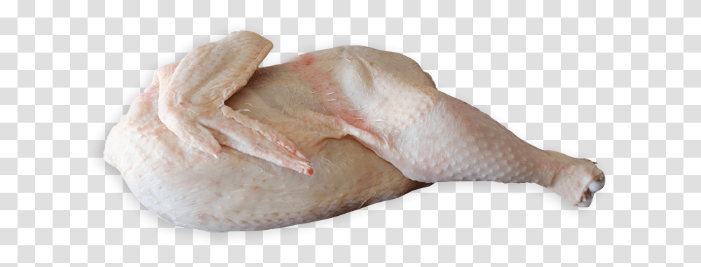 Half Barn Reared Chicken Chicken Meat, Fowl, Bird, Animal, Poultry Transparent Png