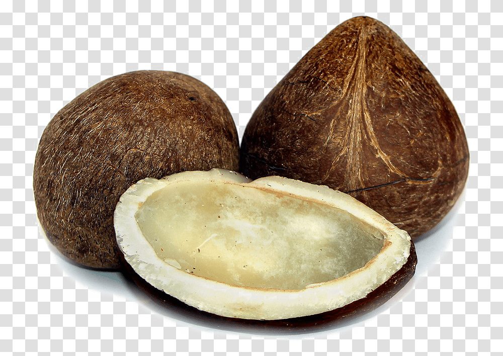 Half Coconut Photos Dry Coconut, Vegetable, Plant, Food, Fruit Transparent Png
