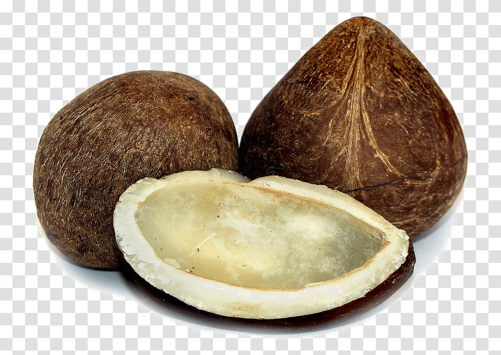 Half Coconut Photos Mart Coconut Copra, Vegetable, Plant, Food, Fruit Transparent Png