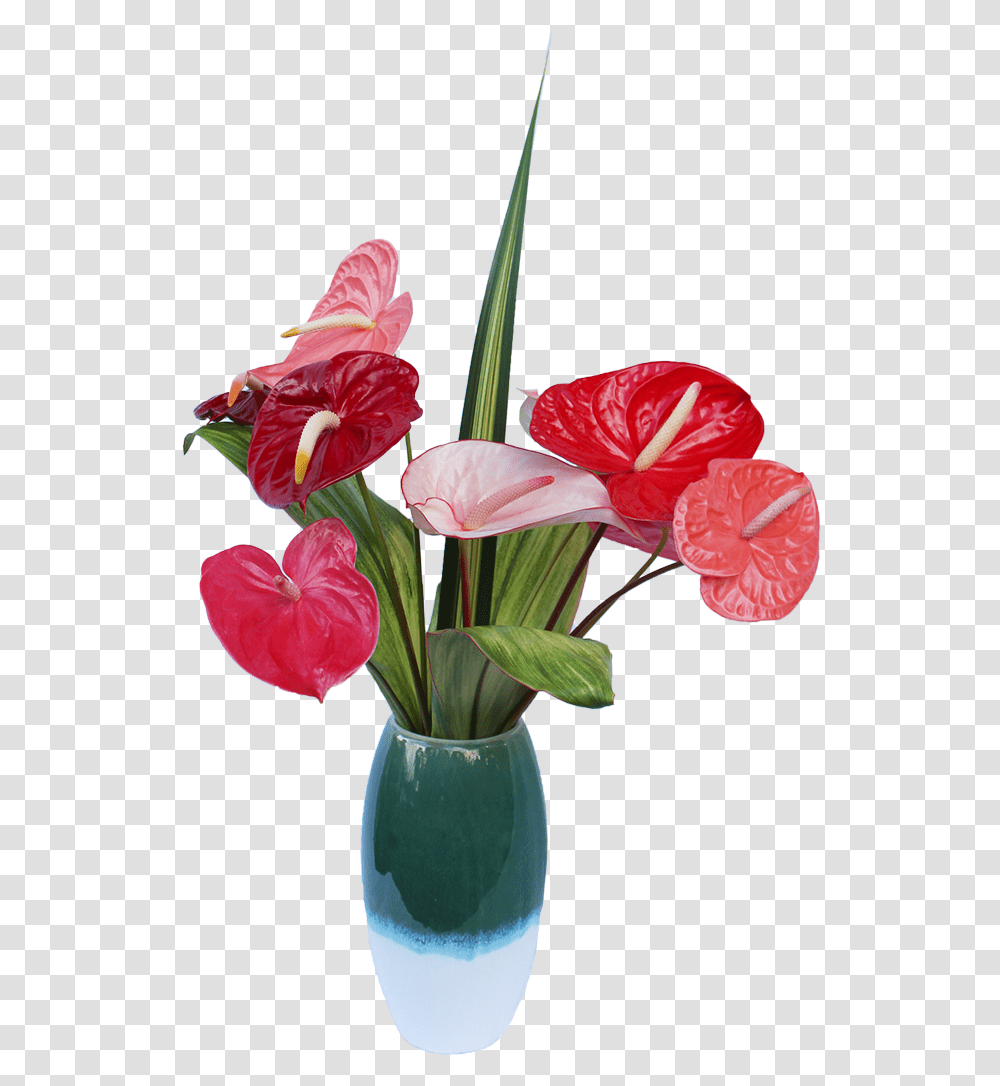 Half Dozen Anthuriums - Always Artificial Flower, Plant, Blossom, Flower Arrangement, Ikebana Transparent Png