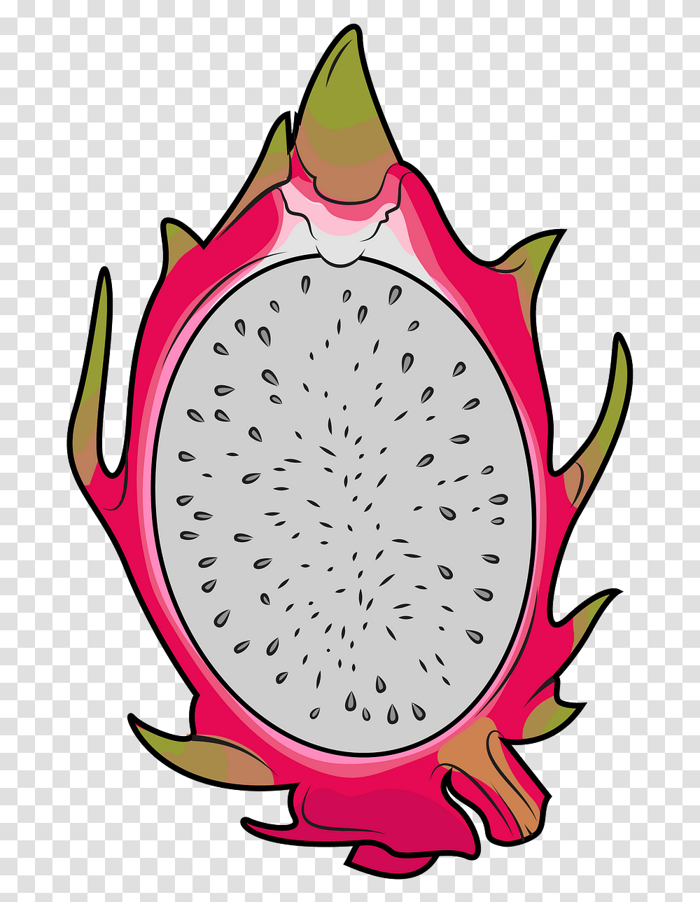 Half Dragon Fruit Clipart Free Download Creazilla Dragon Fruit Slices, Plant, Food, Flower, Blossom Transparent Png