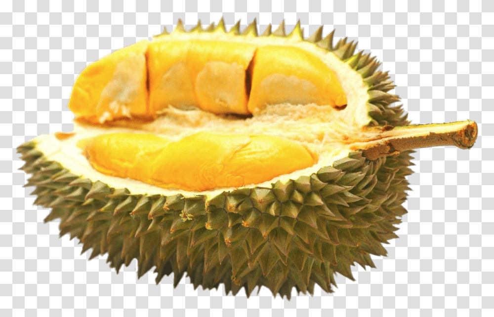 Half Durian Fruit Durian, Plant, Produce, Food, Fungus Transparent Png