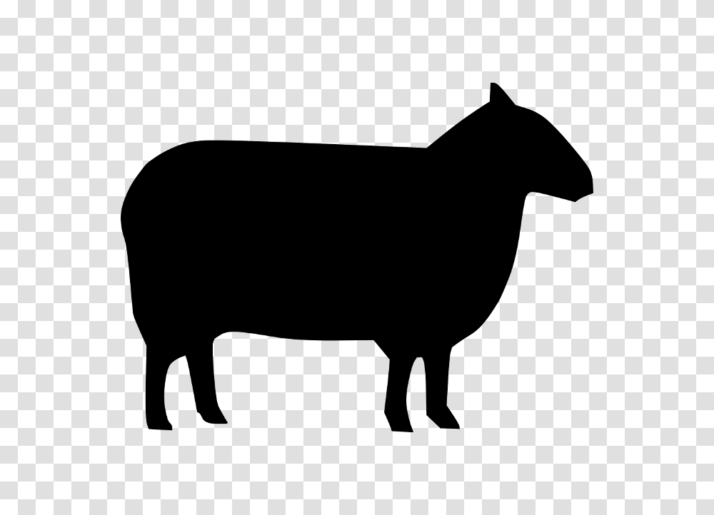 Half Lamb, Gray, World Of Warcraft Transparent Png