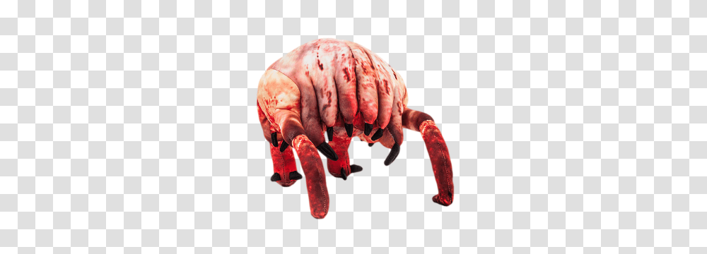 Half Life, Game, Animal, Flea, Insect Transparent Png