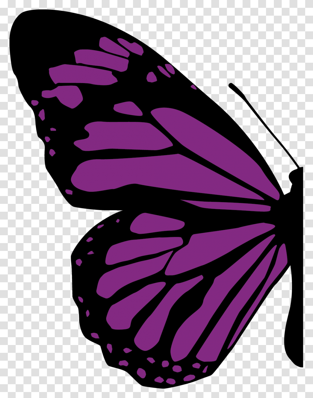 Half Of Butterfly, Insect, Invertebrate, Animal, Purple Transparent Png
