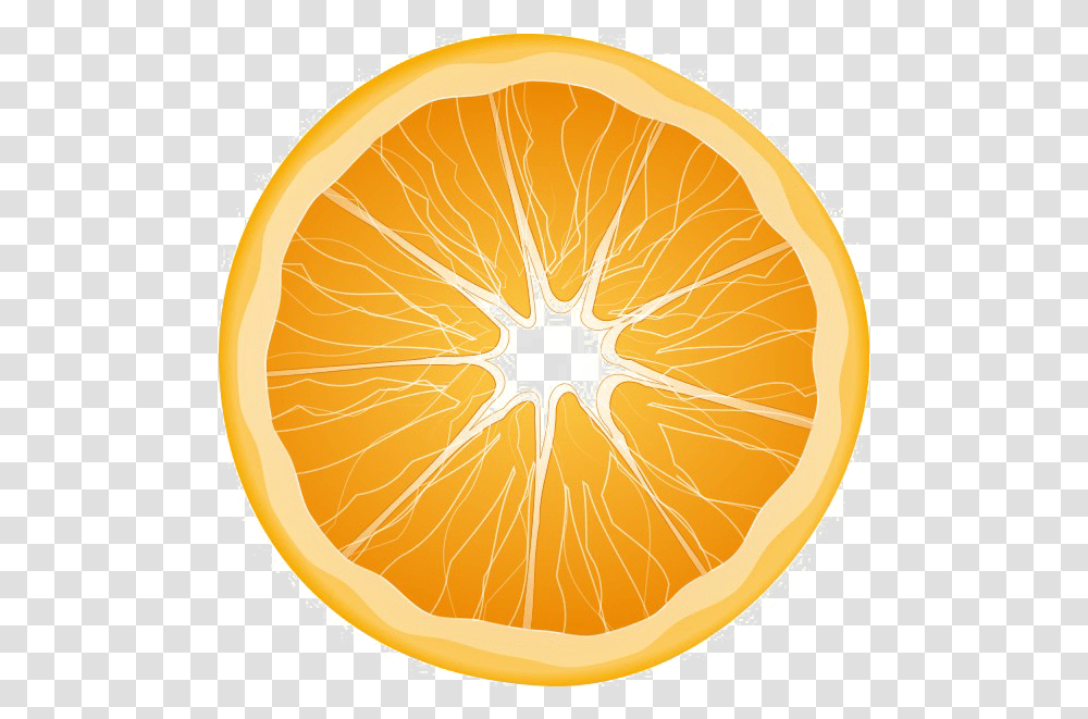 Half Orange Background Orange Slice, Citrus Fruit, Plant, Food, Grapefruit Transparent Png