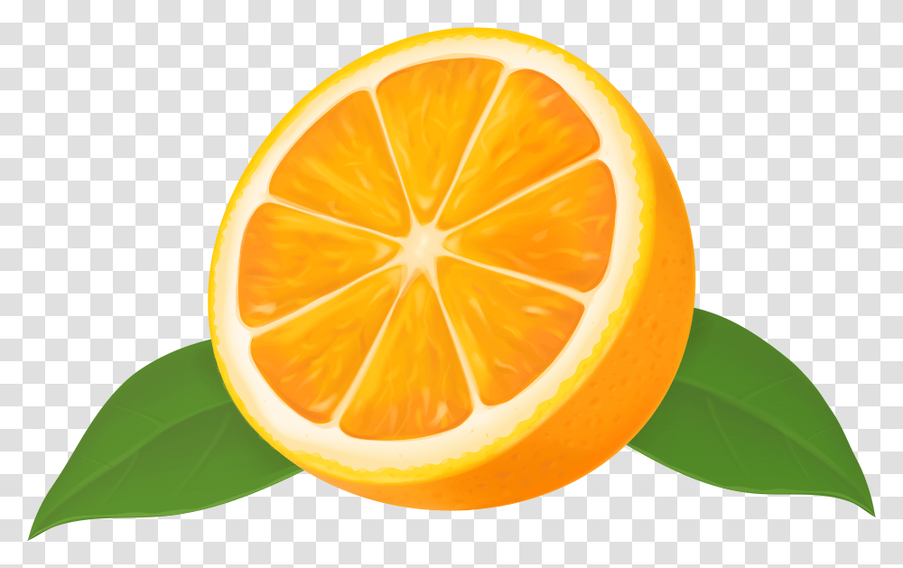 Half Orange Clip Art Image Gallery Orange Clipart Transparent Png