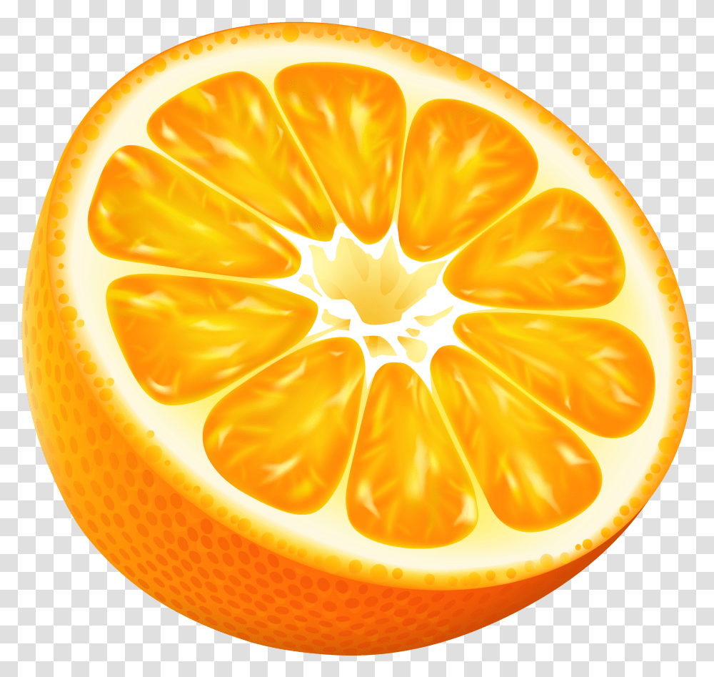 Half Orange Vector, Citrus Fruit, Plant, Food, Grapefruit Transparent Png