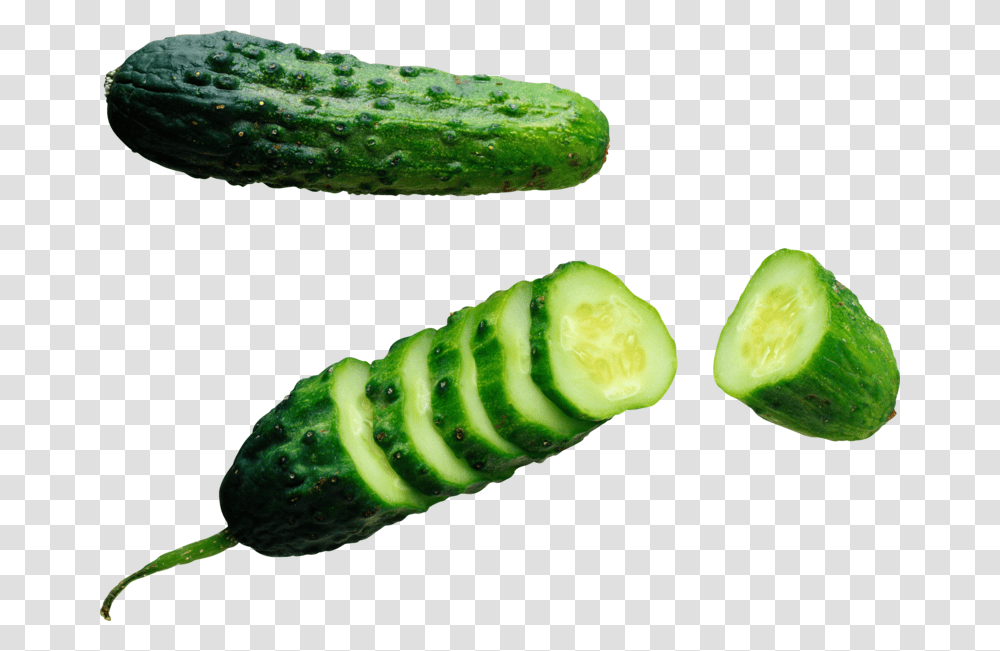 Half Sour Pickle Clipart, Plant, Cucumber, Vegetable, Food Transparent Png