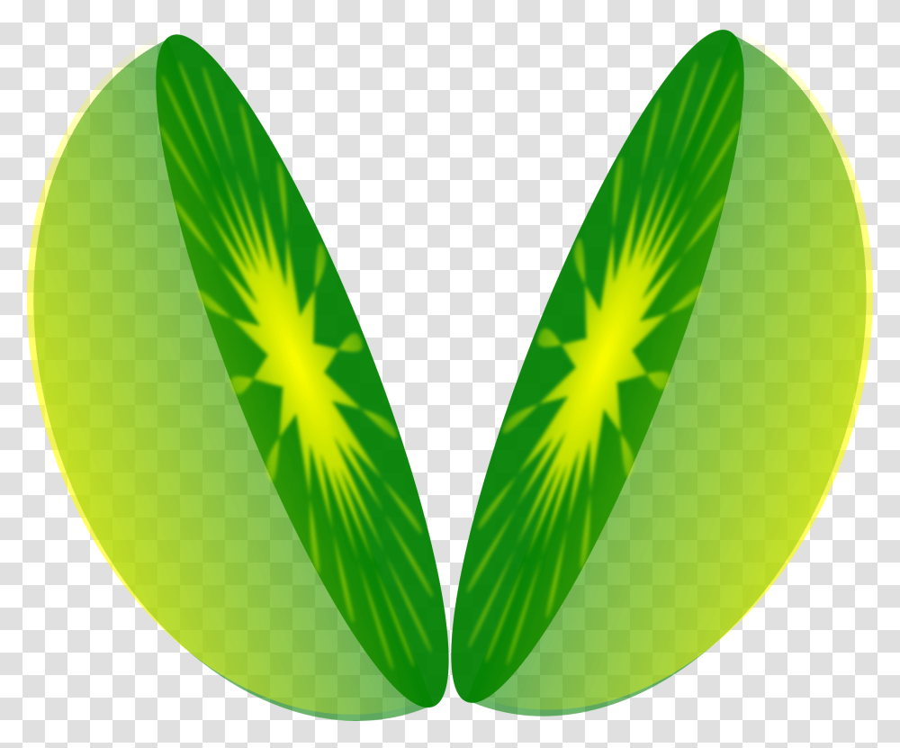 Half Sun Vector Download One Half Fraction Clipart, Green, Leaf, Plant, Grass Transparent Png