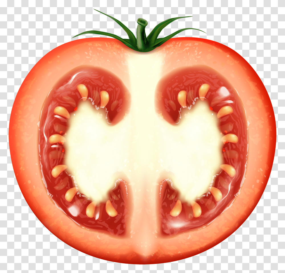 Half Tomato Clip Art Image Images Slice Transparent Png