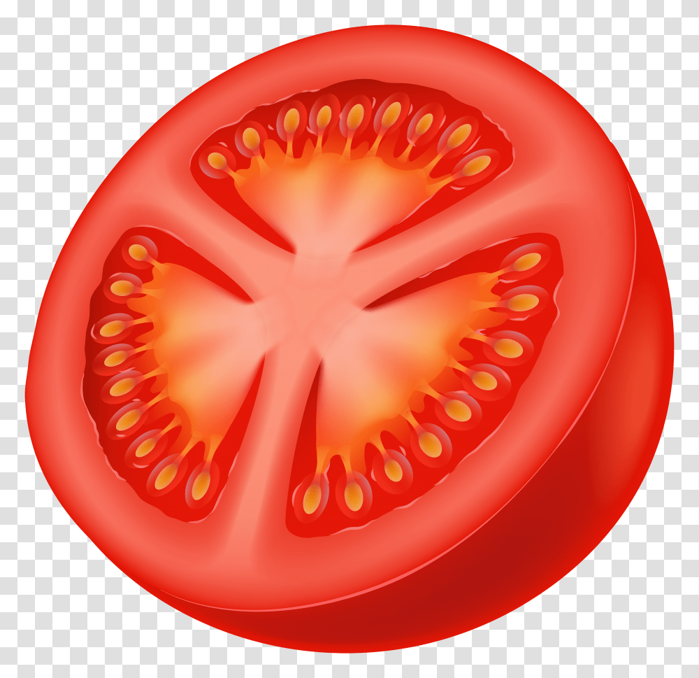 Half Tomato Clip Art Transparent Png