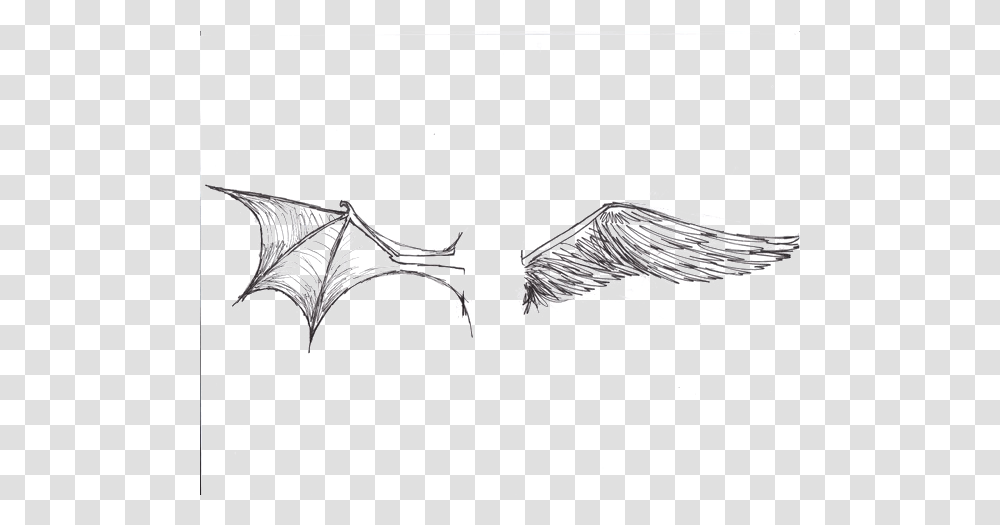 Half Wings Background Demon Wing Tattoo, Spider Web Transparent Png