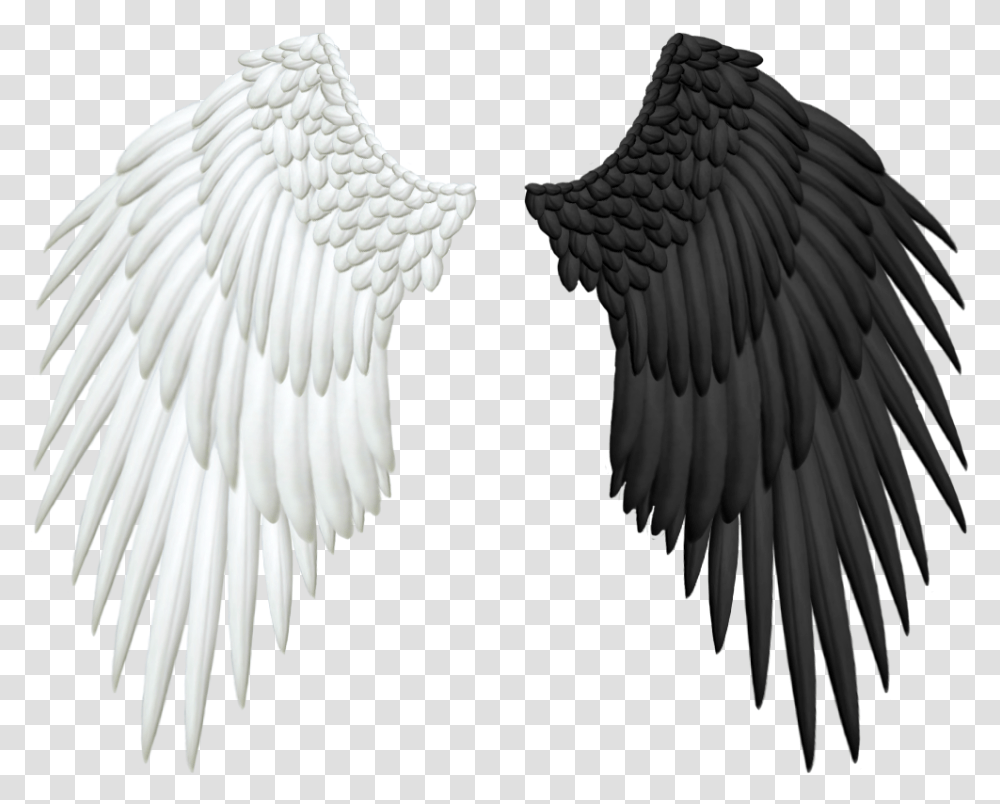Half Wings Black And White Angel Wings, Bird, Animal, Art, Archangel Transparent Png