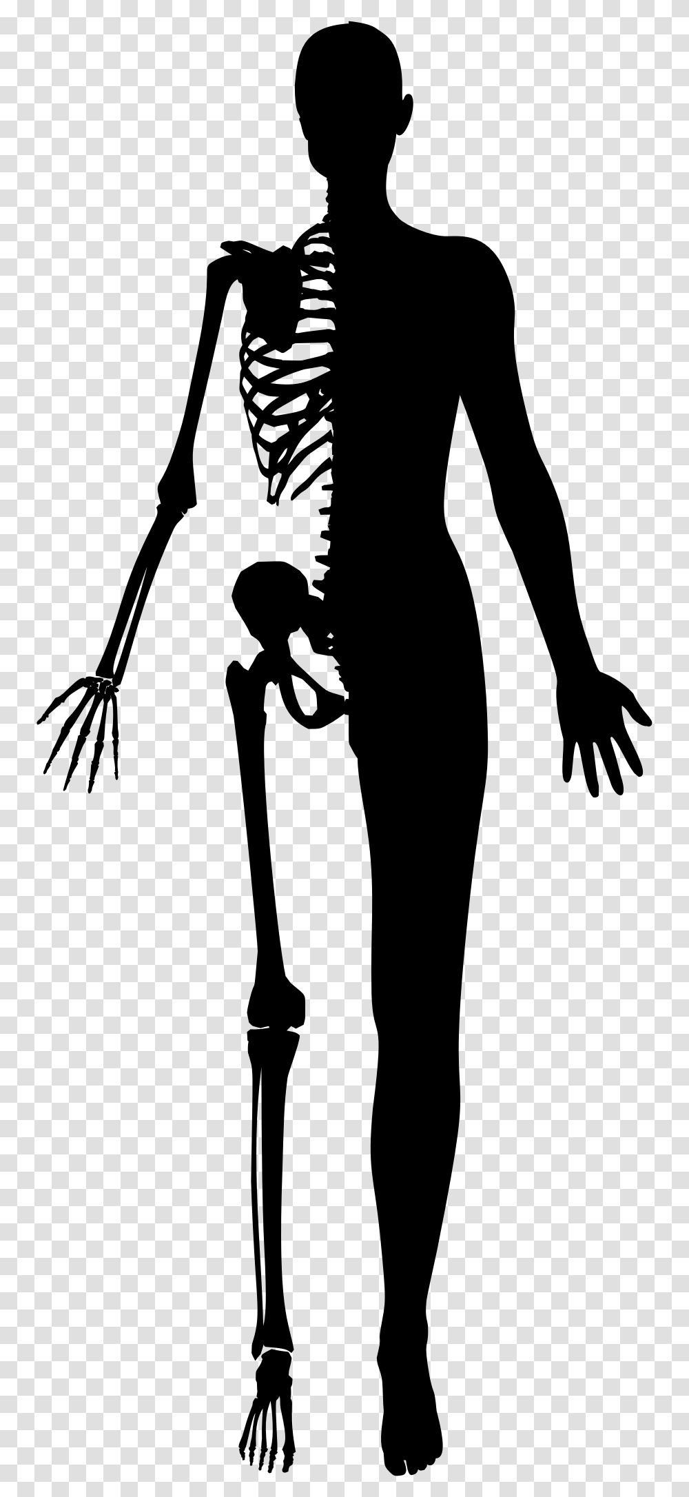 Half Woman Half Skeleton Silhouette Clip Arts Half Human Half Skeleton, Gray, World Of Warcraft Transparent Png