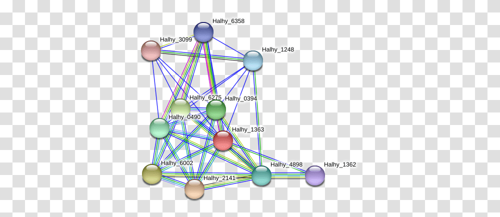 Halhy 1363 Protein Circle, Network Transparent Png
