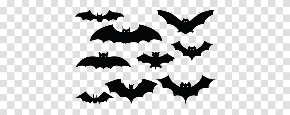 Halloween Bat Image Clipart Halloween Silhouette Vector, Symbol, Poster, Advertisement, Batman Logo Transparent Png