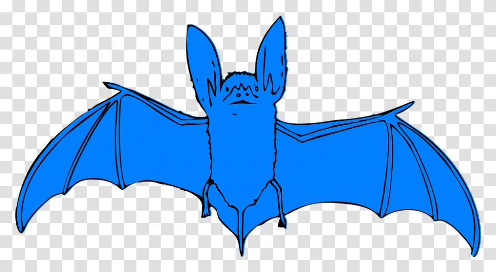 Halloween Bats Clipart 25 Buy Clip Art Bat Clip Art, Wildlife, Mammal, Animal, Horse Transparent Png