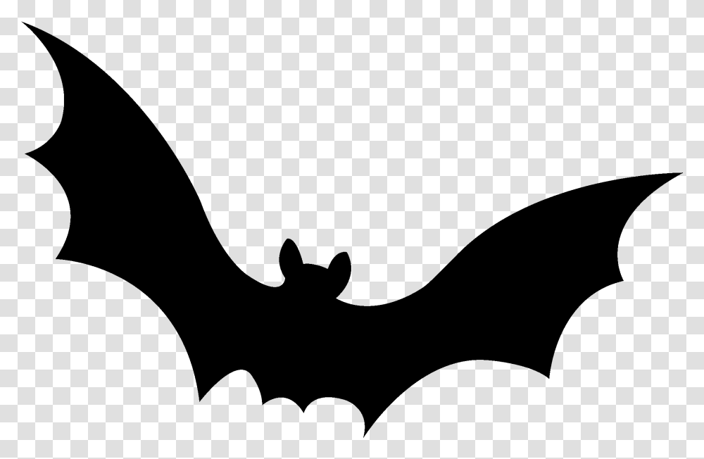 Halloween Bats, Gray, World Of Warcraft Transparent Png