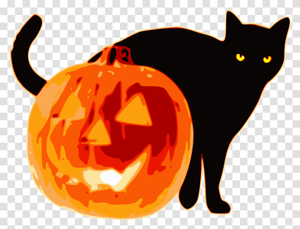 Halloween Black Cat And Pumpkin Halloween Cat And Pumpkin, Vegetable, Plant Transparent Png