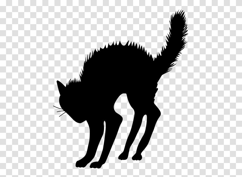 Halloween Black Cat Silhouette Black Cat, Mammal, Animal, Wolf, Stencil Transparent Png