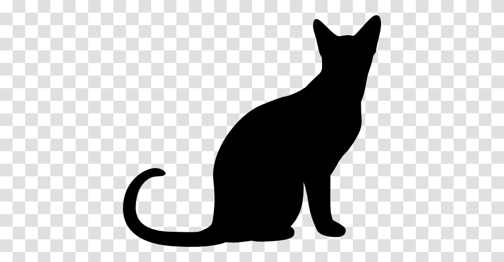 Halloween Black Cat Silhouette, Pet, Mammal, Animal, Egyptian Cat Transparent Png