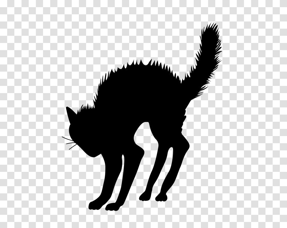 Halloween Black Cat Vector Free Image Vector Clipart, Silhouette, Stencil Transparent Png