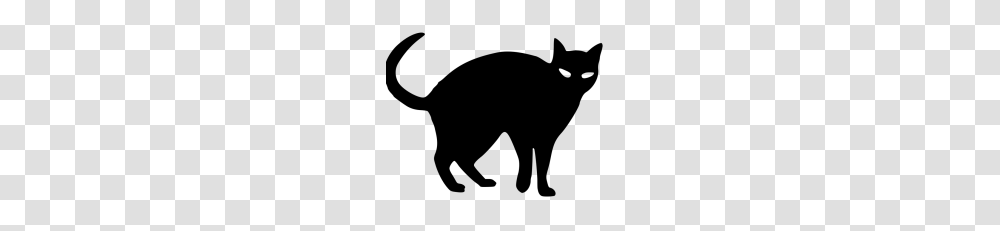 Halloween Black Cat Vector Free Image With, Gray, World Of Warcraft Transparent Png