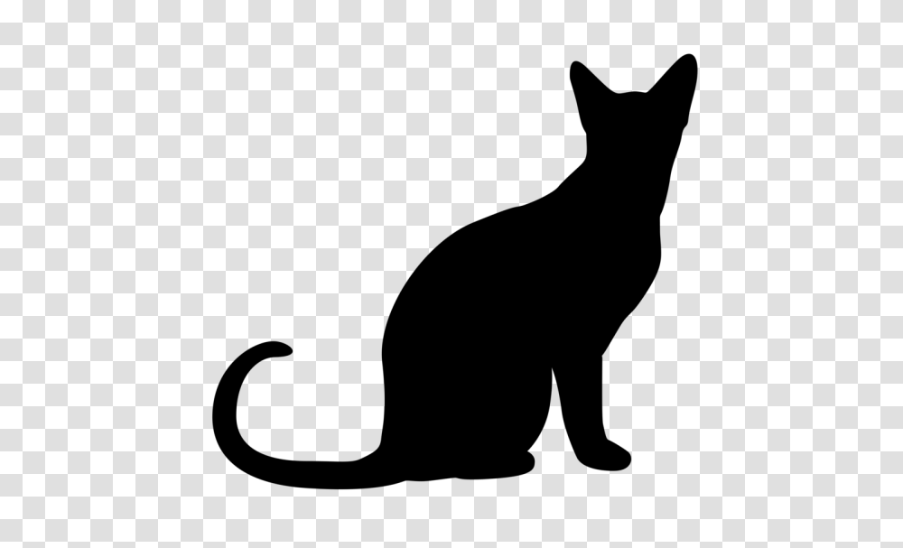 Halloween Black Cats Clip Art, Gray, World Of Warcraft Transparent Png