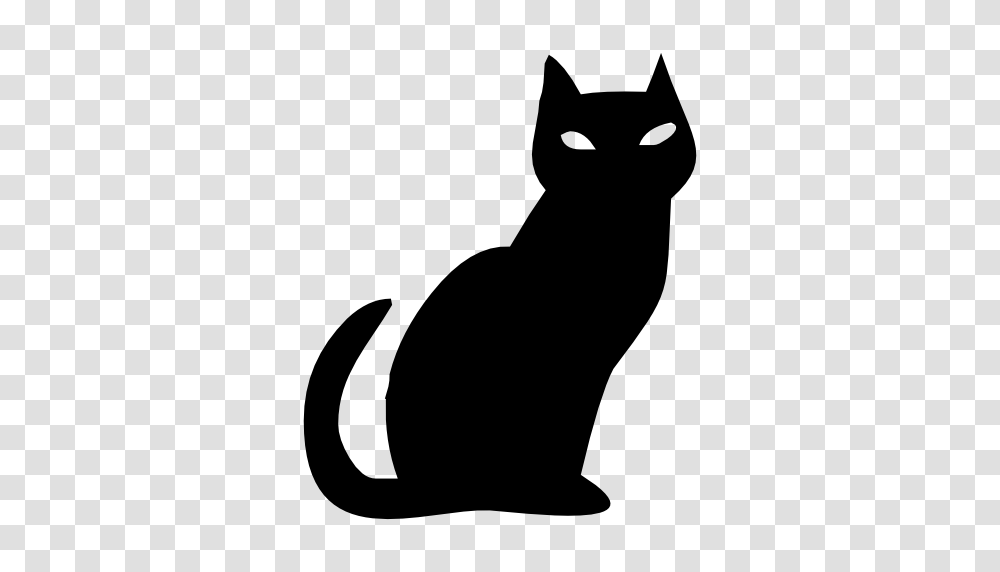 Halloween Cat Clipart, Gray, World Of Warcraft Transparent Png