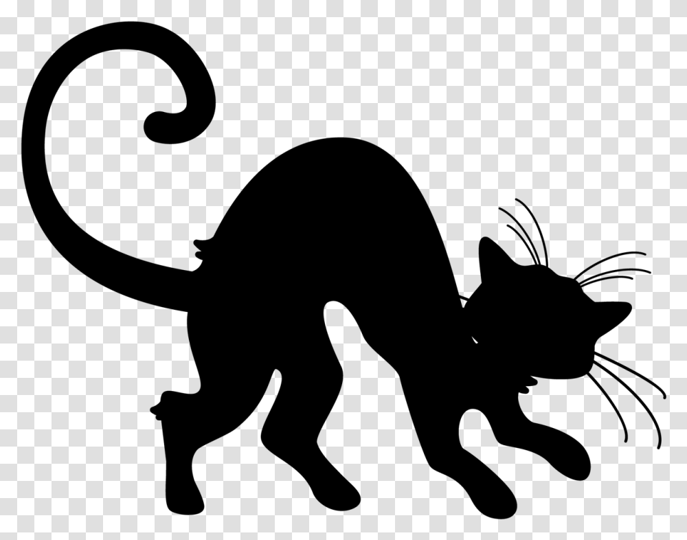 Halloween Cat Drawing Happy Halloween, Gray, World Of Warcraft Transparent Png