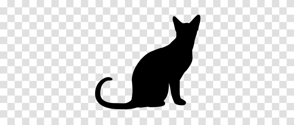 Halloween Cat Silhouette Clip Art Festival Collections, Gray, World Of Warcraft Transparent Png