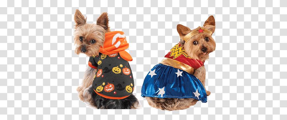 Halloween Christmas Yorkie With Hotdog Costume, Mammal, Animal, Pet, Canine Transparent Png