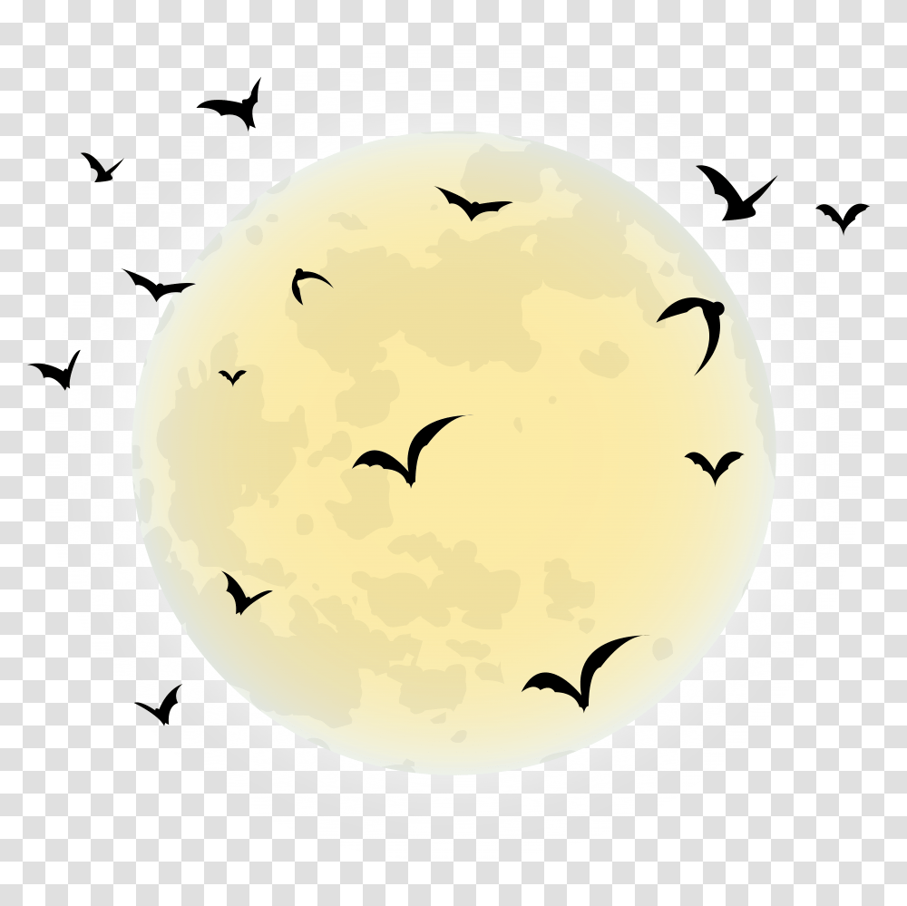 Halloween Clip Art, Bird, Animal, Outdoors Transparent Png