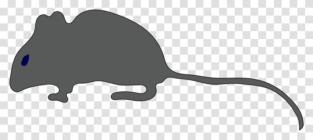 Halloween Clip Art, Mammal, Animal, Rodent, Rat Transparent Png