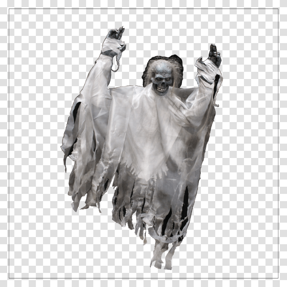 Halloween Costume, Person, Bird, Coat Transparent Png