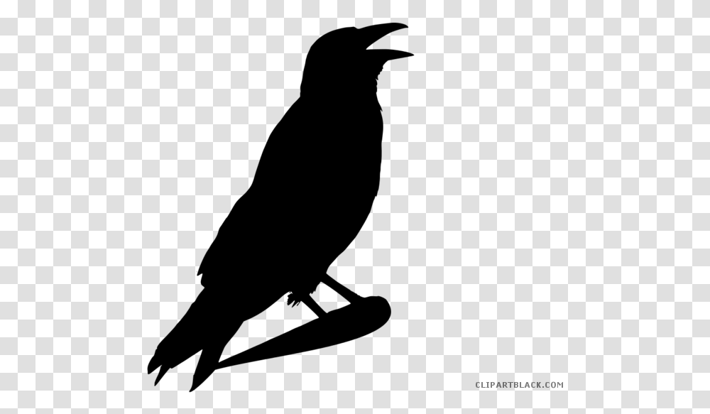 Halloween Crow Clipart Black Halloween Crows Clip Art, Gray, World Of Warcraft Transparent Png