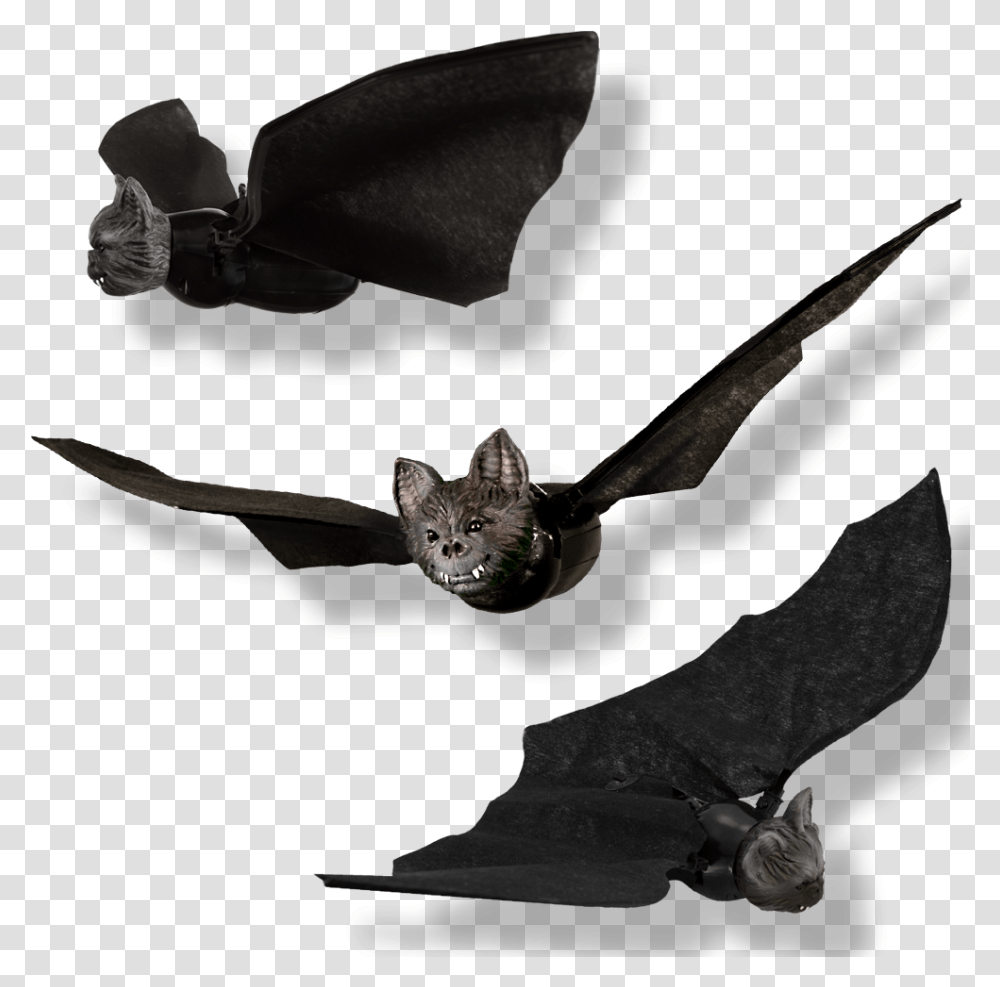 Halloween Flying Bat Toy, Mammal, Animal, Wildlife, Cat Transparent Png
