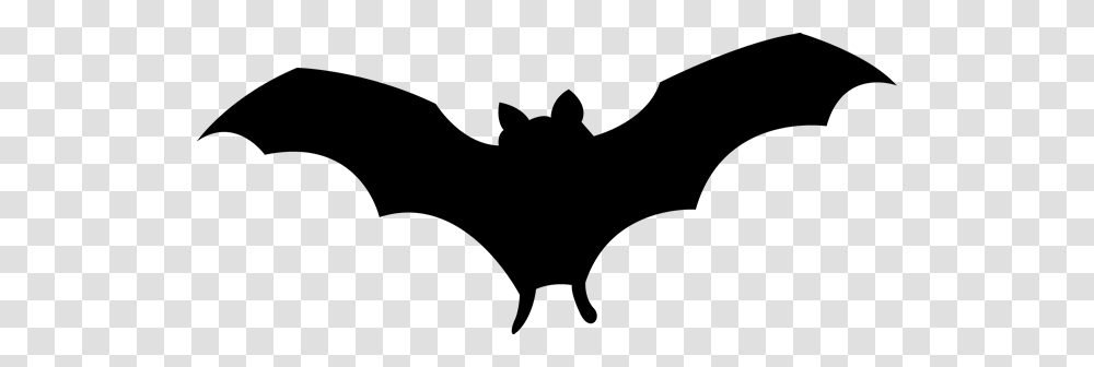 Halloween Graphics, Animal, Mammal, Wildlife, Bat Transparent Png