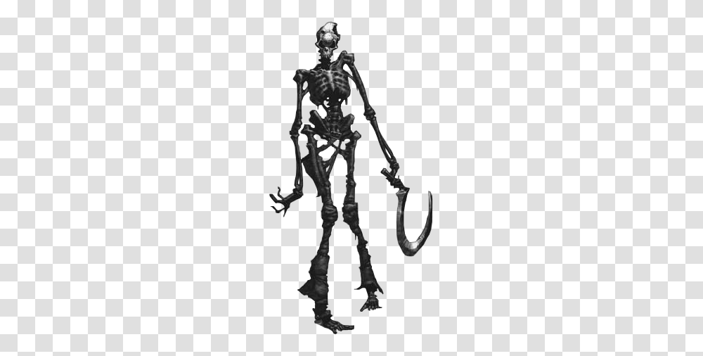 Halloween Graphics, Skeleton Transparent Png