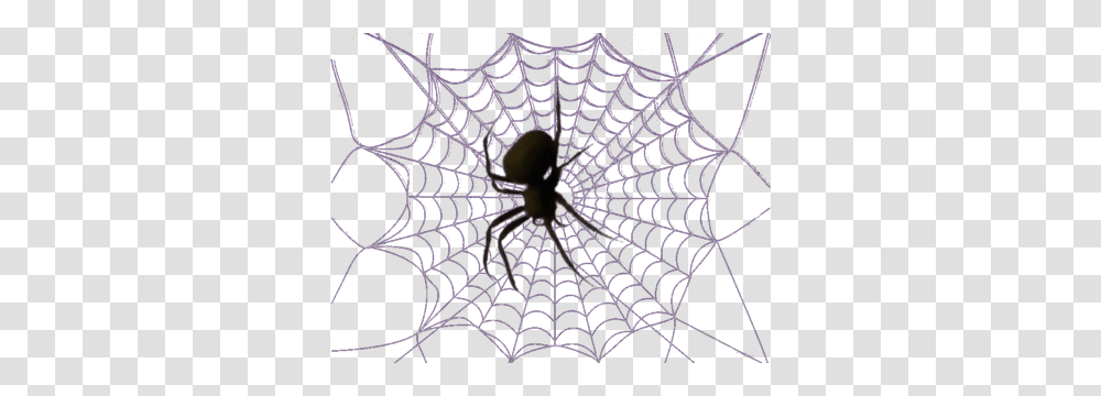Halloween Graphics, Spider Web, Bird, Animal Transparent Png