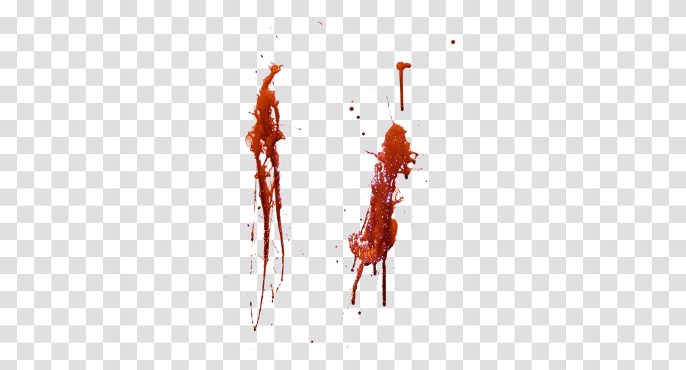 Halloween Graphics, Stain, Bird, Animal, Lobster Transparent Png