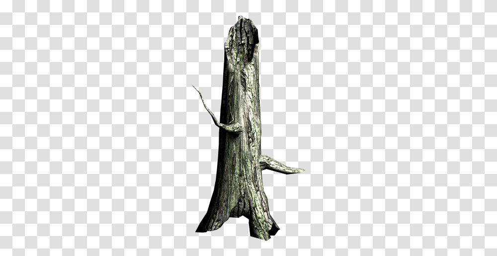 Halloween Graphics, Tree, Plant, Tree Trunk, Anole Transparent Png