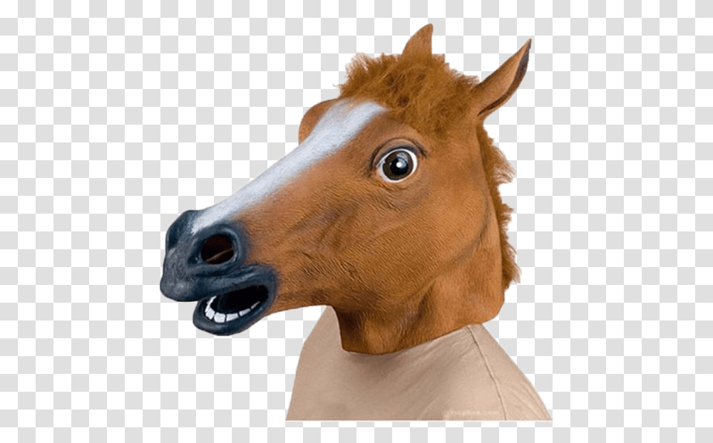 Halloween Horse Mask Horse Head Mask, Mammal, Animal, Colt Horse, Stallion Transparent Png